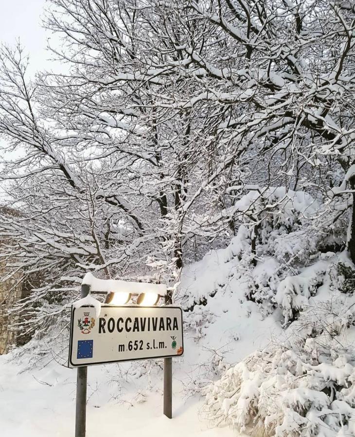 Bellavista B&B Roccavivara Экстерьер фото